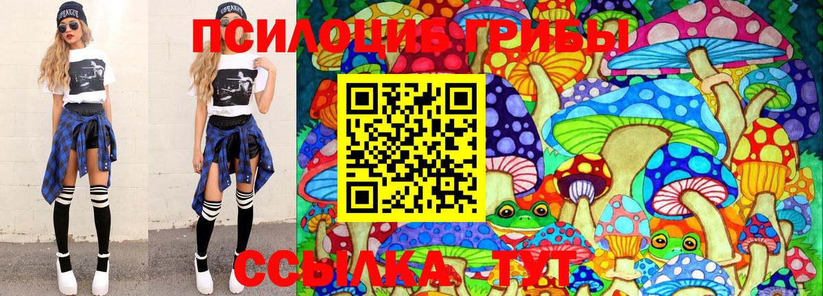 Псилоцибиновые грибы прущие грибы Дубна
