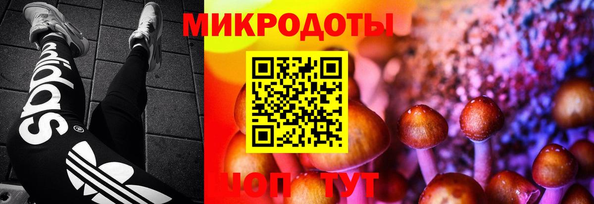 Дубна  Псилоцибиновые грибы Psilocybine cubensis  Вход с VPN 